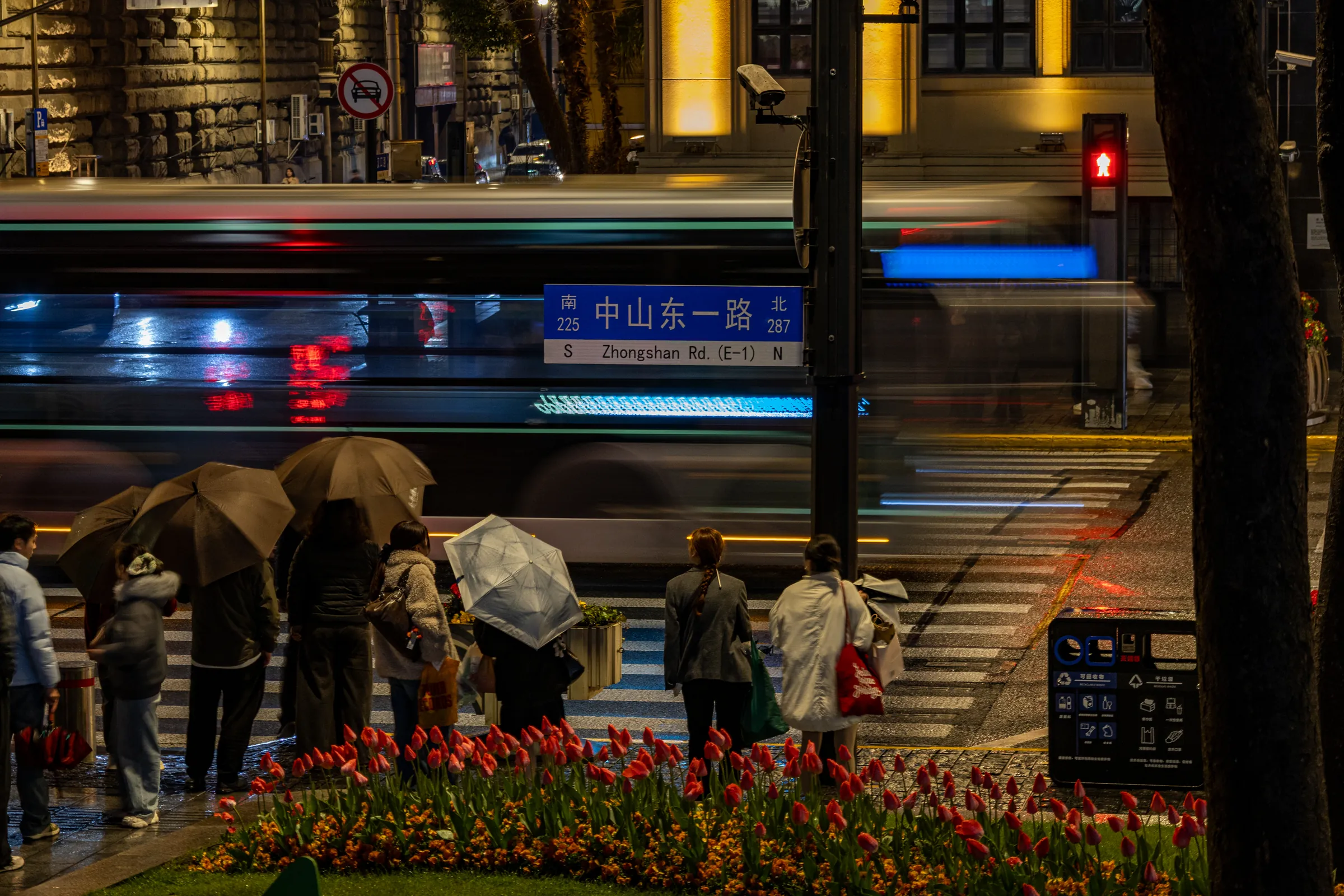 A rainy evening crossing on Zhongshan East Road in Shanghai: people under umbrellas wait by a bed of red tulips while a passing bus blurs into streaks of light behind them.