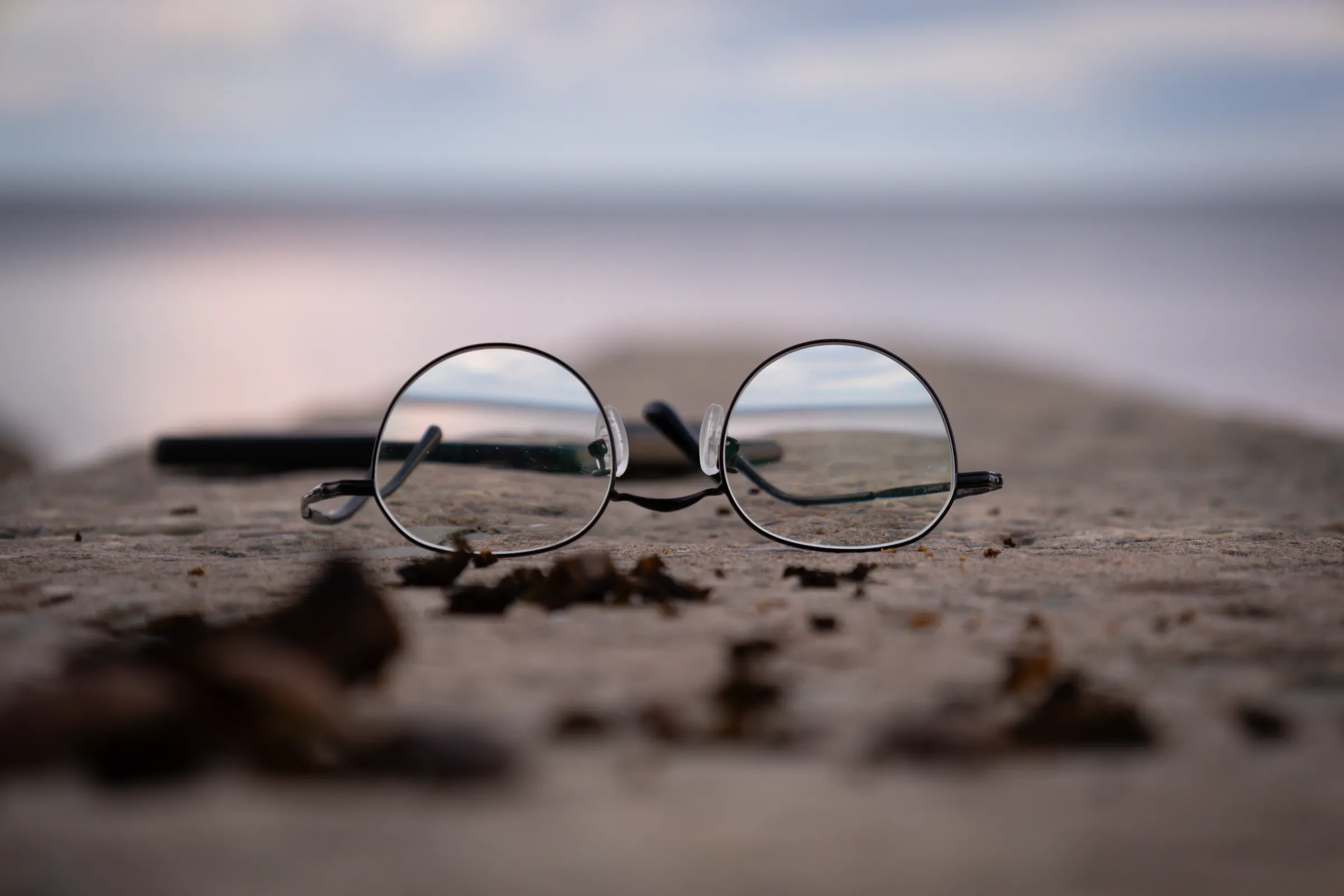 A pair of round wire-framed glasses resting on sand and dry leaves, the water and sky behind them blurred to pale grey and pink.