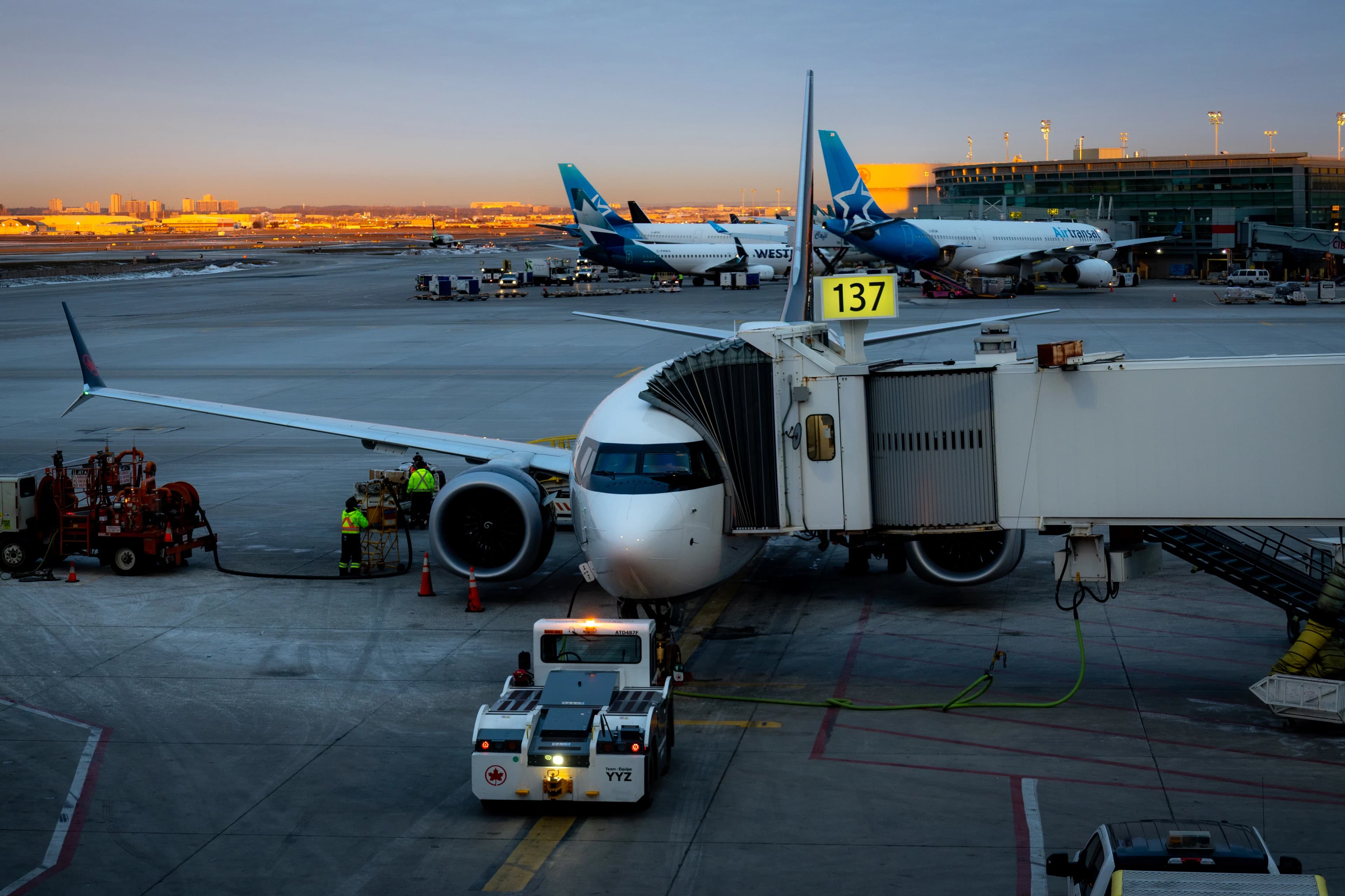 A narrow-body jet nosed in at gate 137 at Pearson in the first light, the jet bridge on its door and a pushback tug waiting at its nose, two Air Transat jets and the terminal behind under a sky going gold at the horizon.