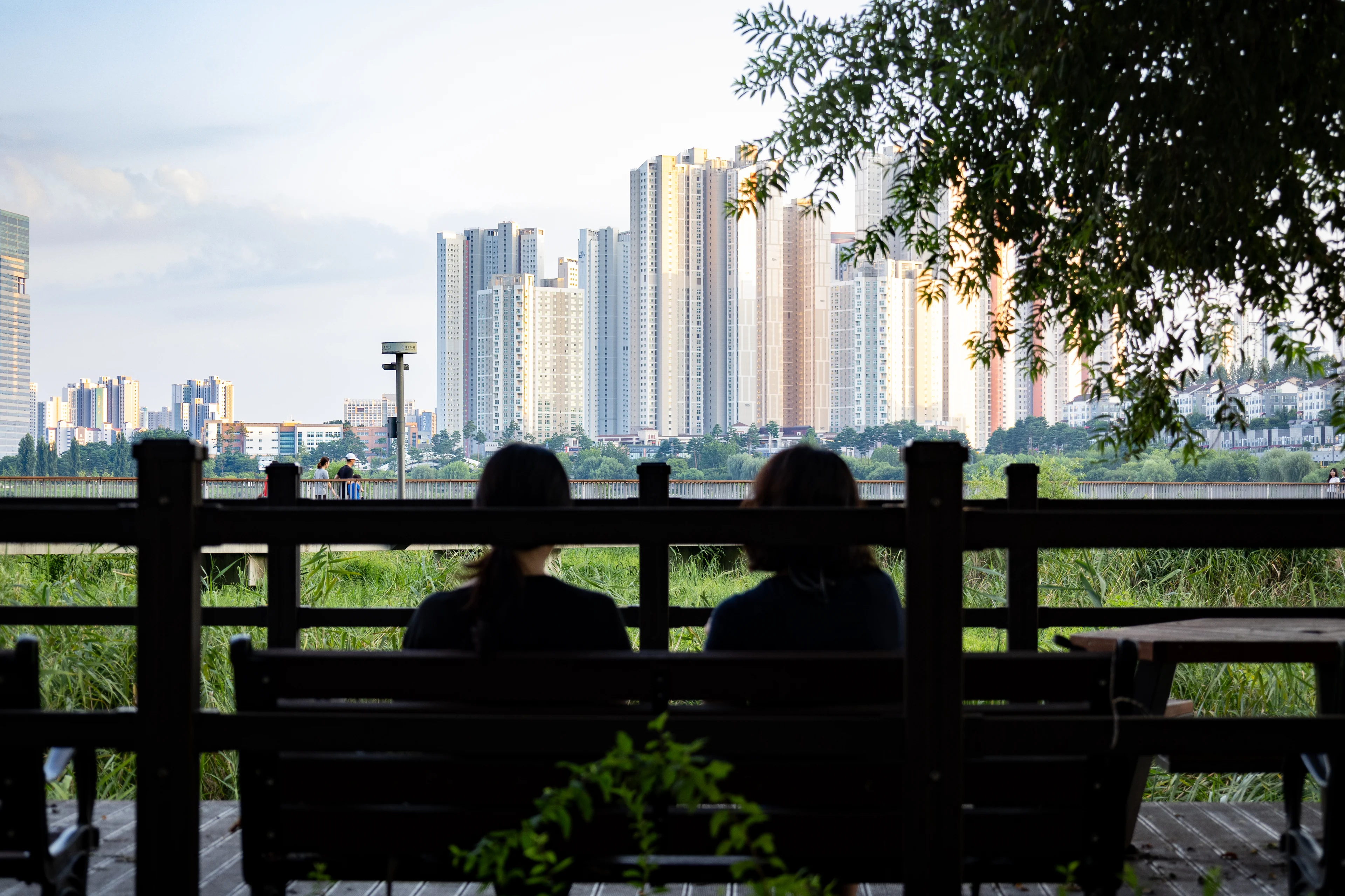 Two people seen from behind on a park bench, dark against a field of reeds, a boardwalk beyond them and a wall of apartment towers catching late sun under a willow.