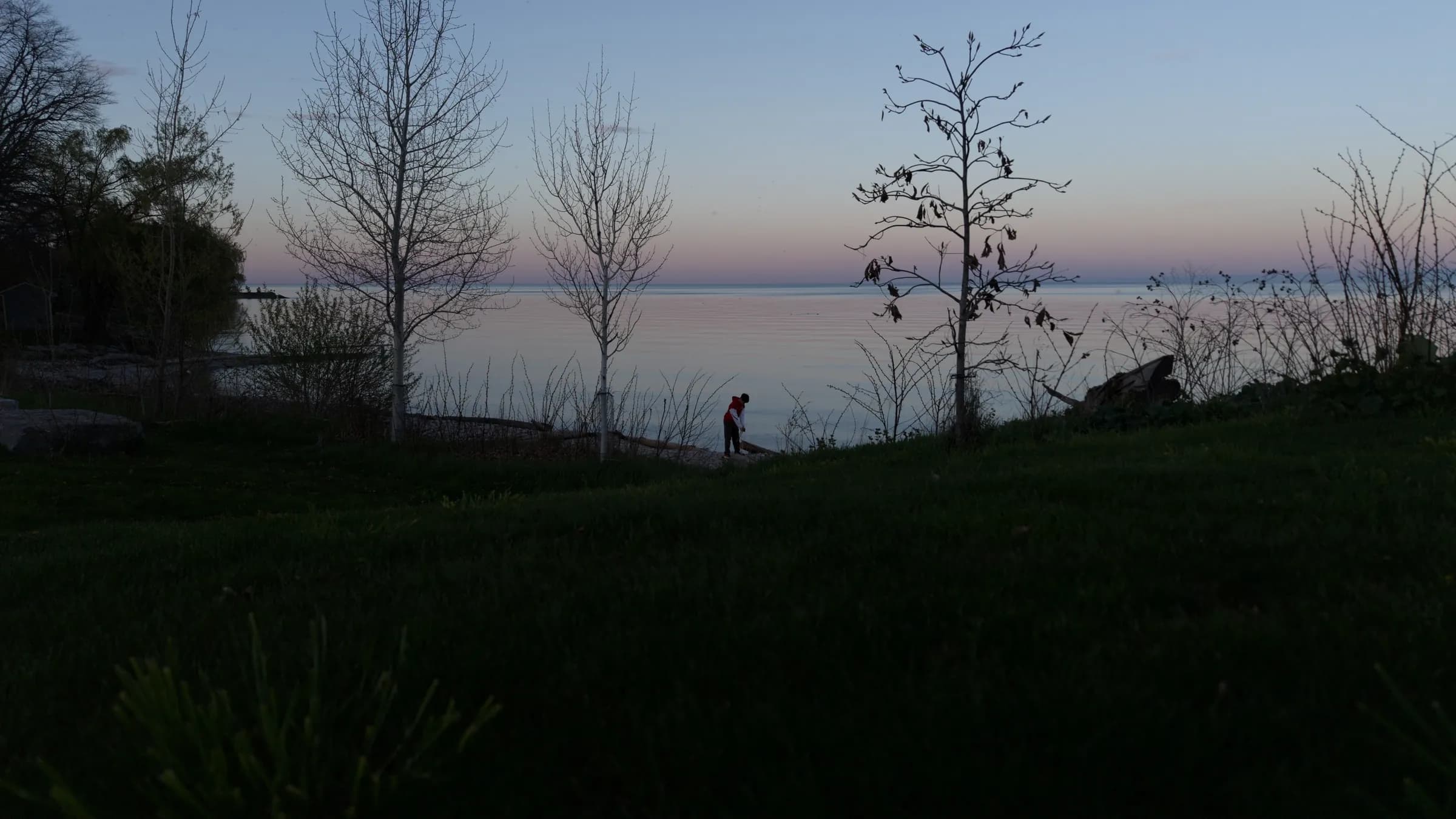 Dusk over Lake Ontario: bare young trees silhouetted on a grassy rise against a pale pink and blue horizon, a lone figure on the shoreline path.