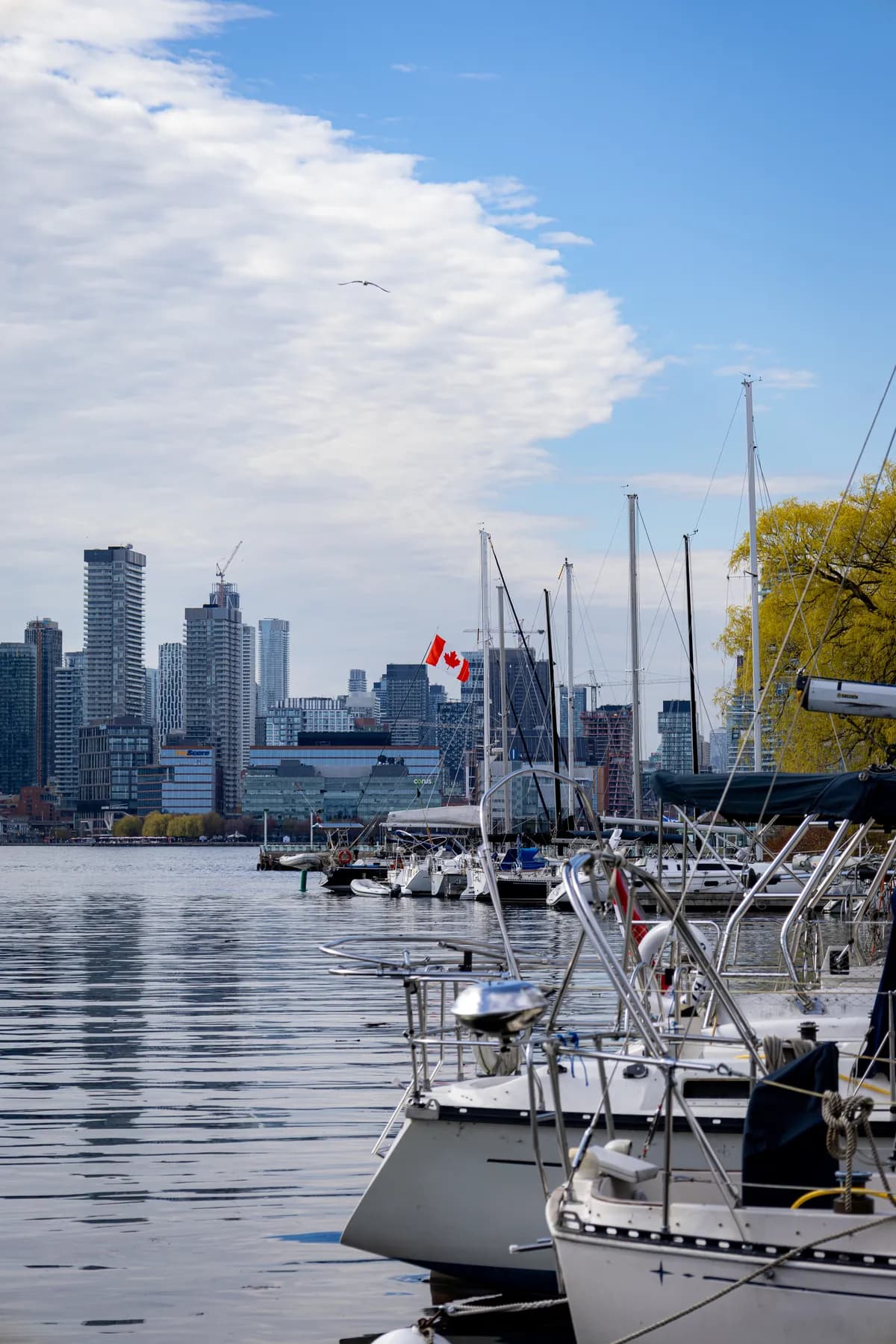 Sailboats moored in calm water with the Toronto skyline and a Canadian flag beyond, under a sweep of white cloud in a blue sky.