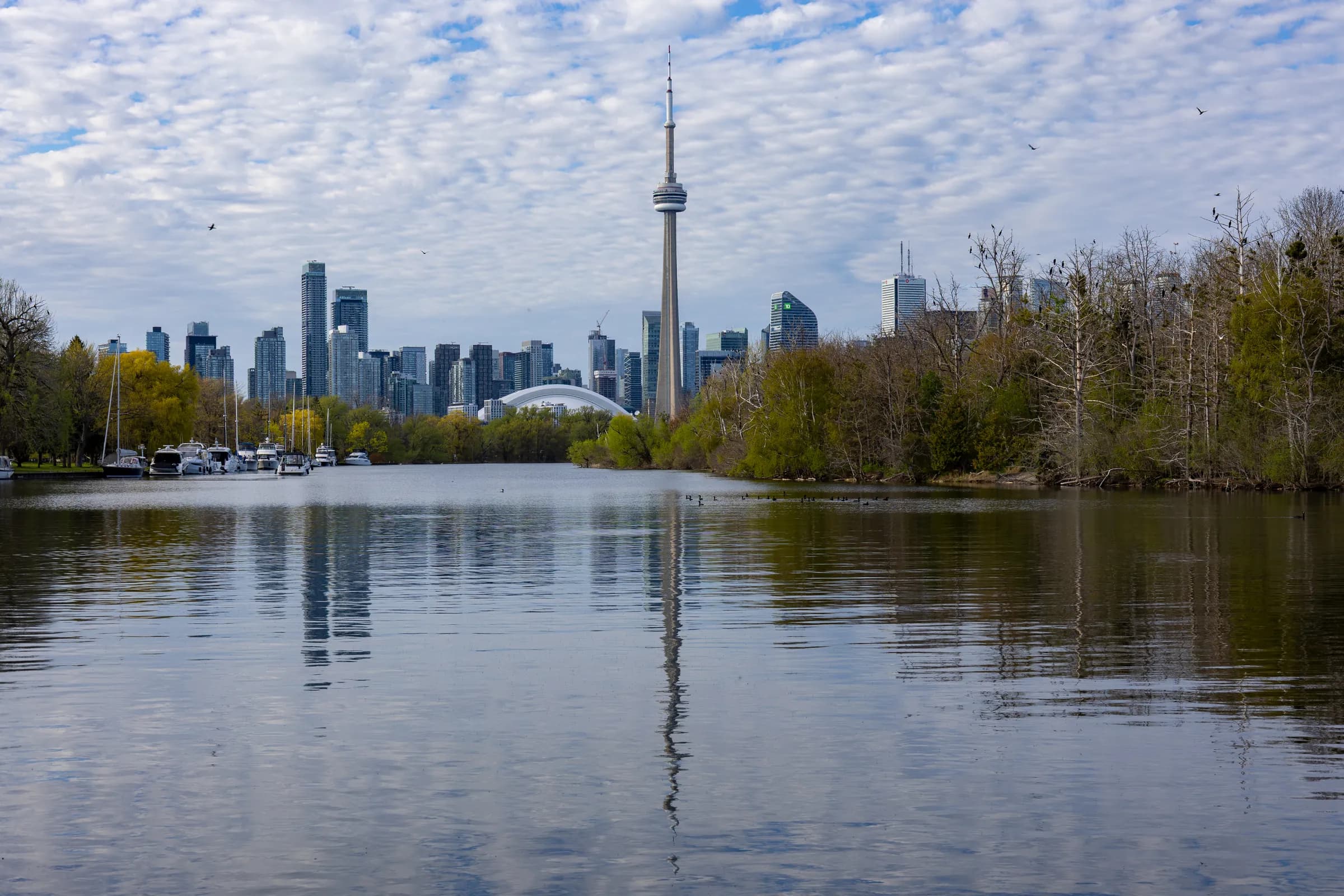 The Toronto skyline and CN Tower under a mackerel sky, mirrored in still water edged by spring trees.